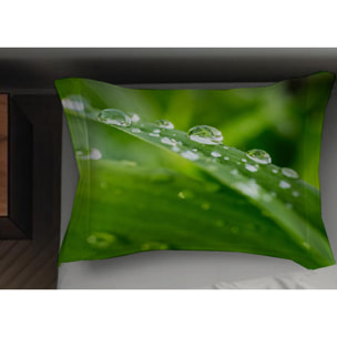 Copripiumino Stampa Digitale Disegno Green Zen Misura Letto Matrimoniale