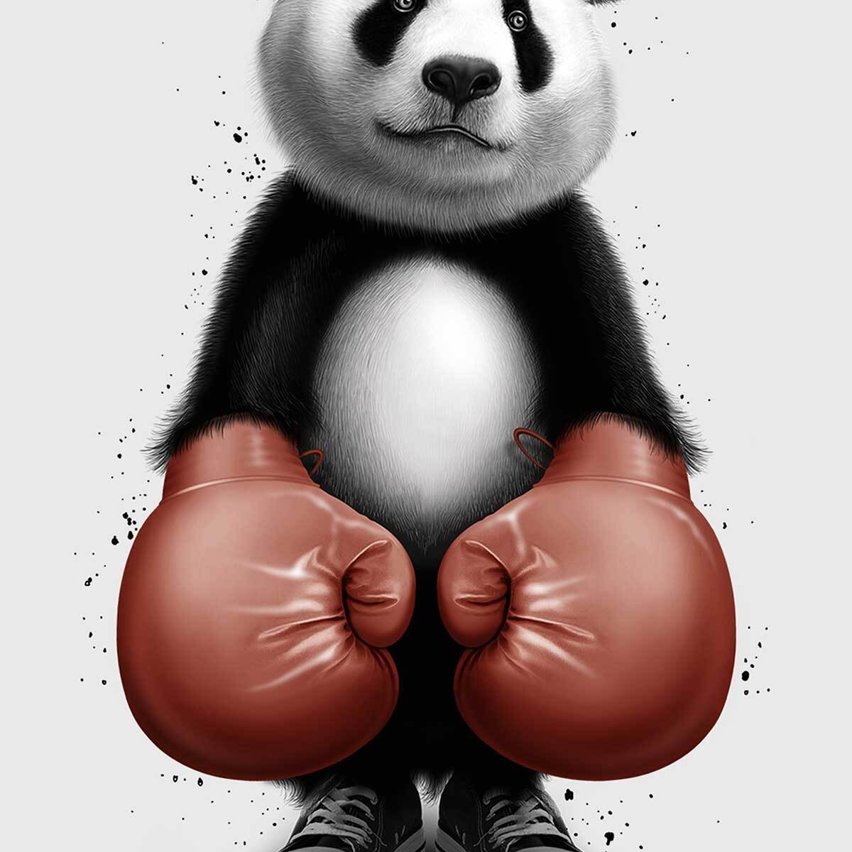 Affiche enfant panda boxer  Affiche sous cadre bois