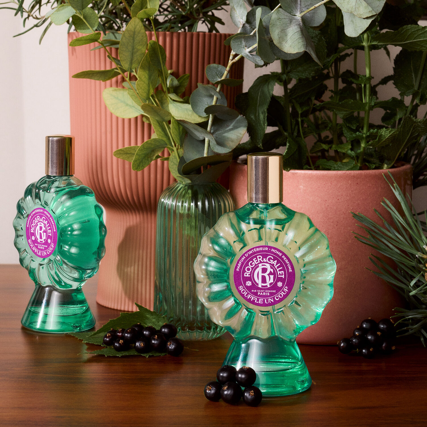 Souffle Un Coup - Parfum d'Intérieur 100 ml