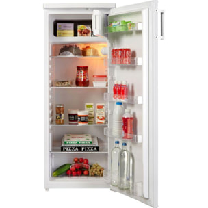 Réfrigérateur 1 porte SCHNEIDER SCOD219W