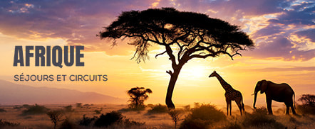 Afrique : séjours et circuits