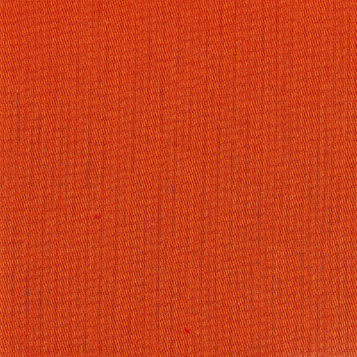 Serviette pur coton uni orange Confettis abricot