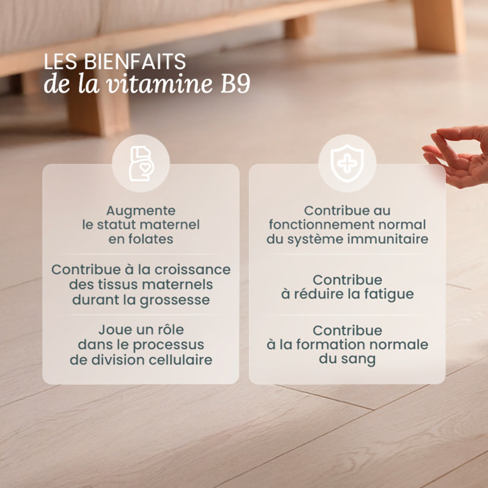 Acide Folique Vit B9 - 120 gélules - Lot de 3