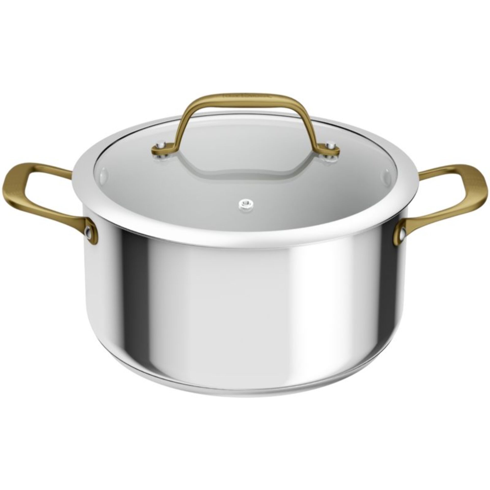 Faitout TEFAL 24cm Edition Bocuse