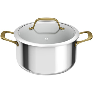 Faitout TEFAL 24cm Edition Bocuse