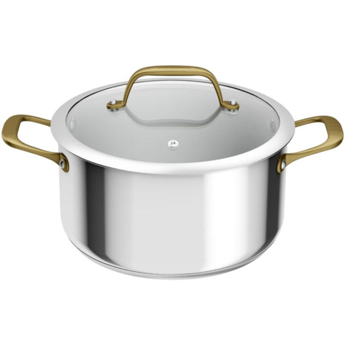 Faitout TEFAL 24cm Edition Bocuse