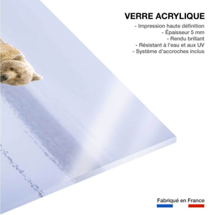 Tableau la marche de l'Ours Tableau plexiglas