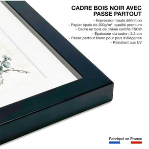 Affiche Boutures d'été Affiche sous cadre noir