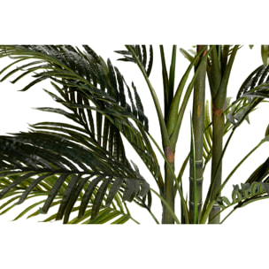 Planta Palmera Areca 110x110x190 Cm