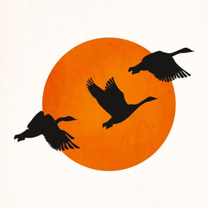 Tableau Retour des grues Tableau alu Dibond