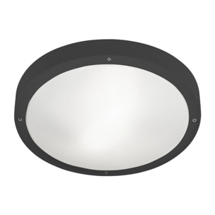 LEDS C4 Plafon Ip66 Basic E27 15W Gris Urbano