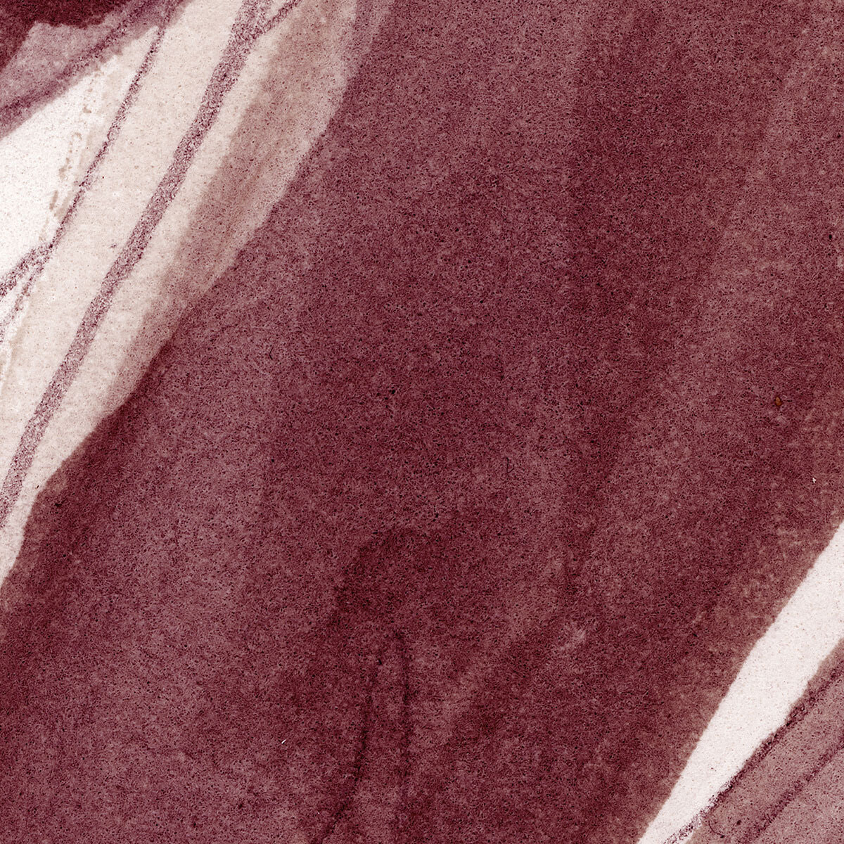 Papier peint tulipes aquarelle terracotta et beige floral élégant Intissé