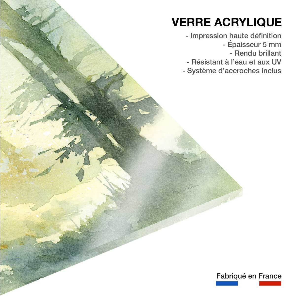 Cadre deco Bosquet ombragé Tableau plexiglas