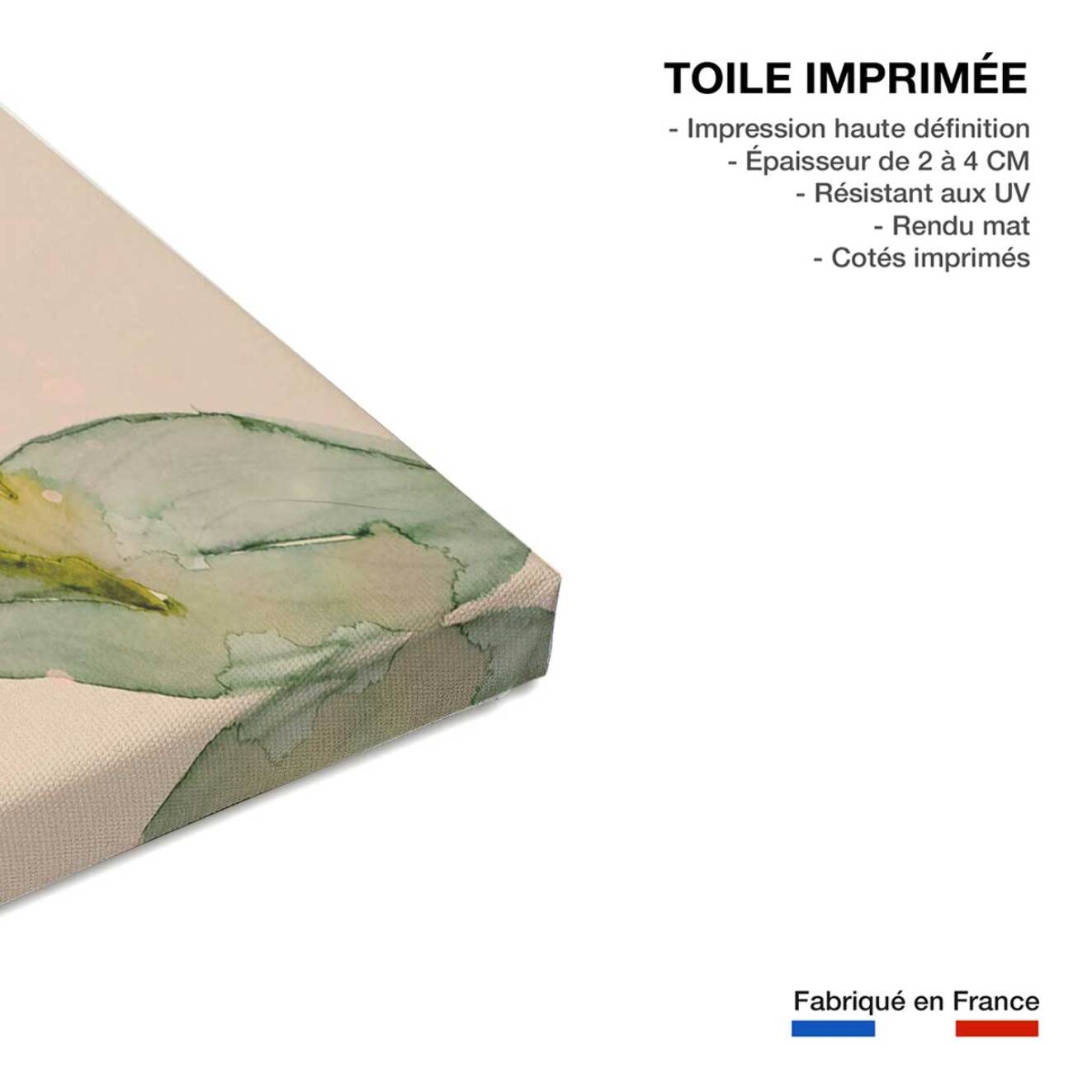 Tableau et peinture de fleurs palm pivoine  Toile imprimée