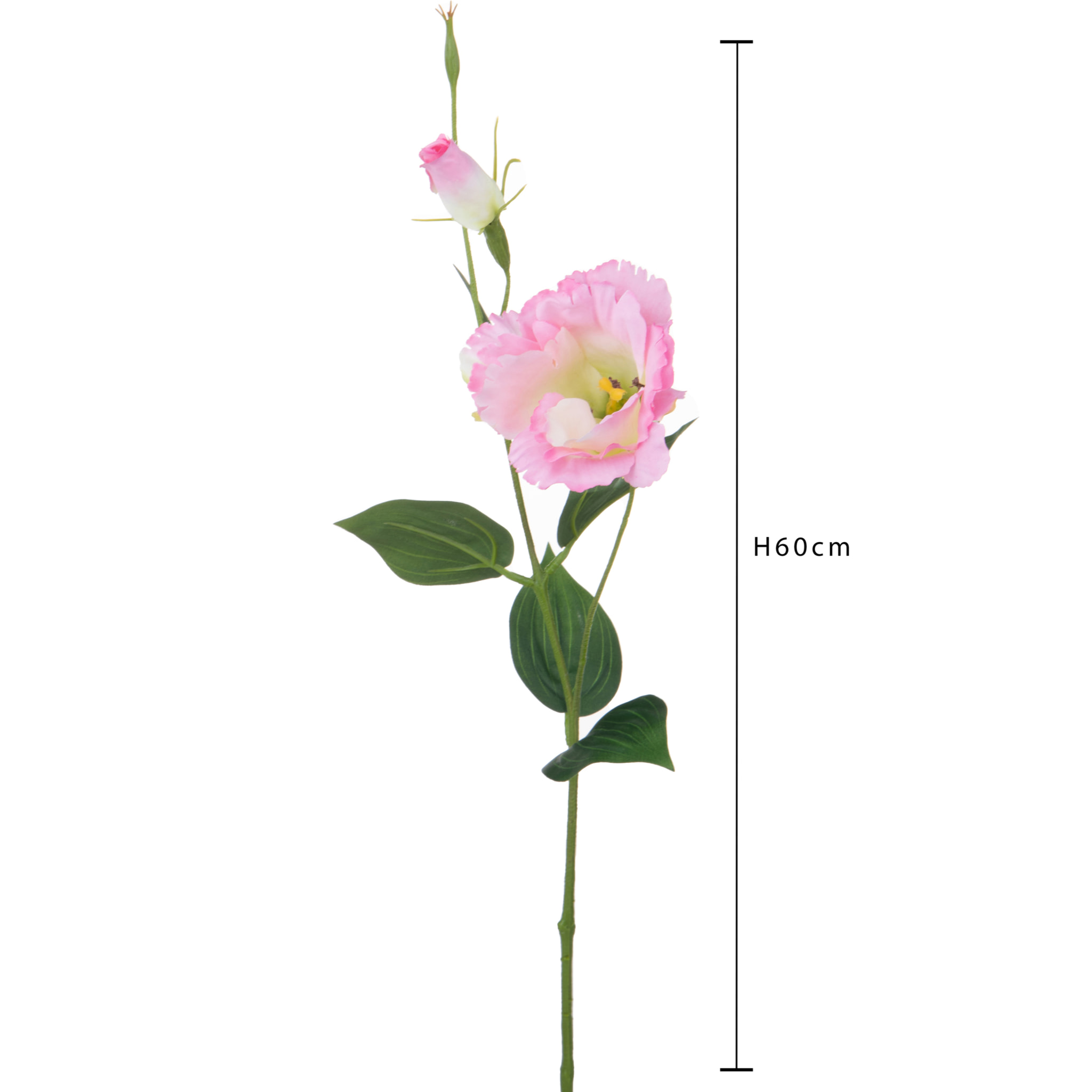 Lisianthus Composto Da 2 Fiori. Altezza 60 Cm - Pezzi 12 - 11,2X60X7,5cm - Colore: Rosa - Bianchi Dino - Fiori Artificiali