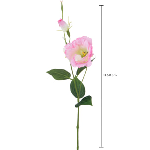 Lisianthus Composto Da 2 Fiori. Altezza 60 Cm - Pezzi 12 - 11,2X60X7,5cm - Colore: Rosa - Bianchi Dino - Fiori Artificiali