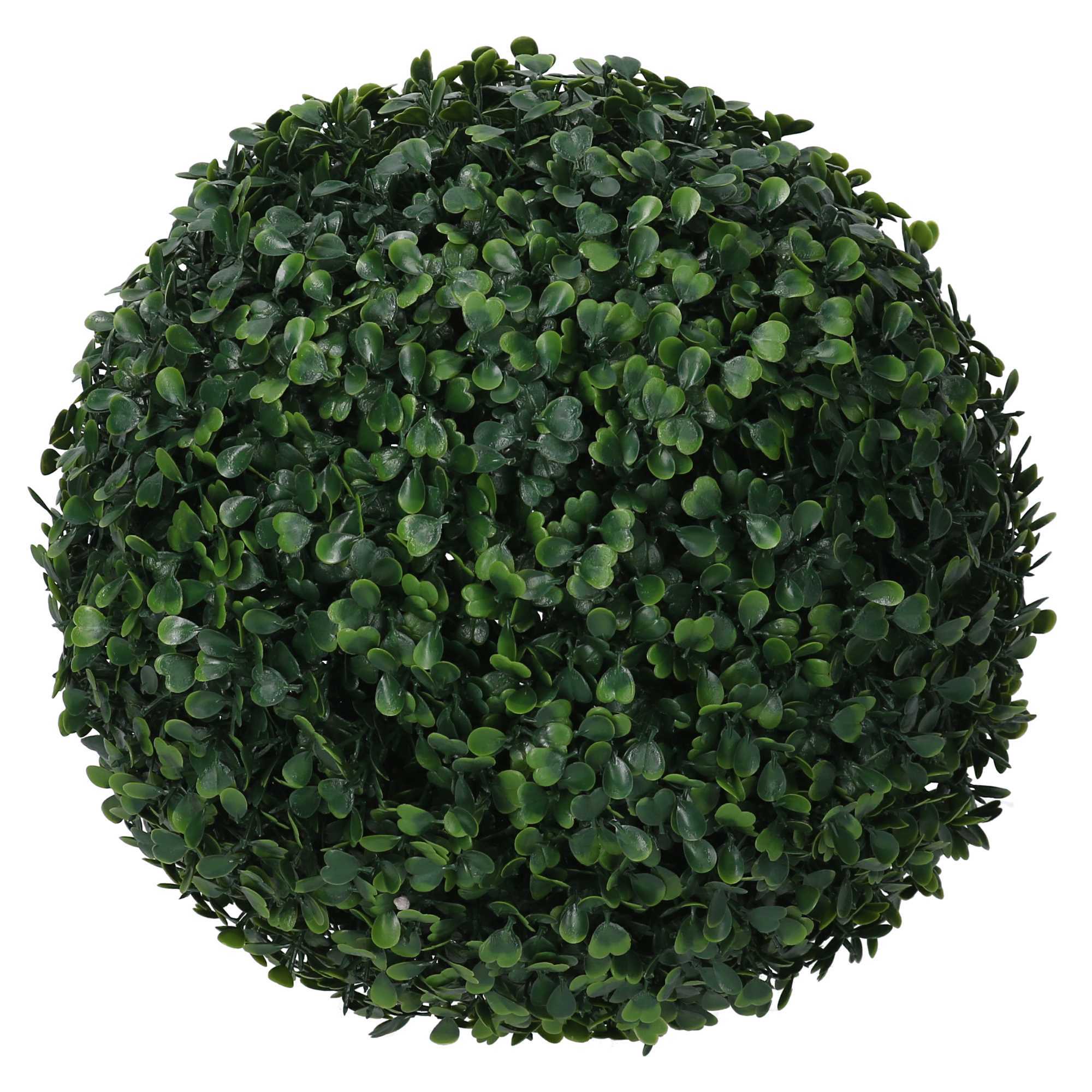 Bosso Vacchetti verde tondo cm ø28h28