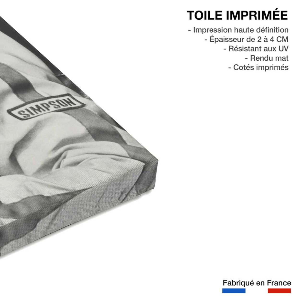 Photo célébrité Paul Newman Indianapolis Toile imprimée