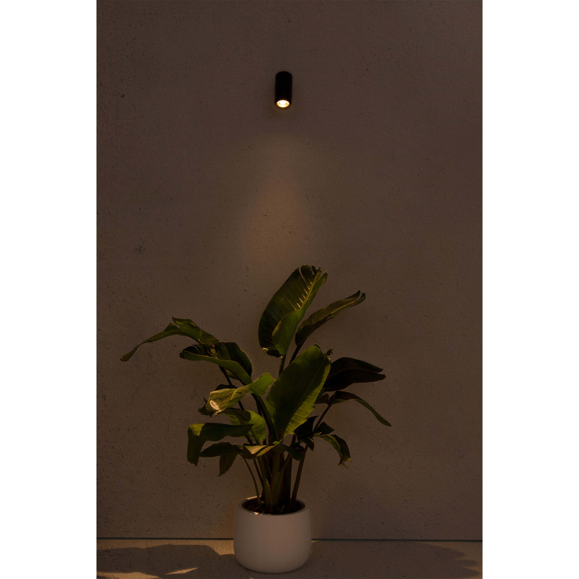 PLOM Lámpara proyector gris oscuro