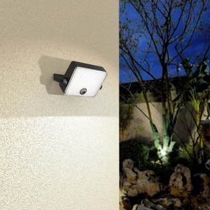 Projecteur solaire orientable FLICKY 500LM