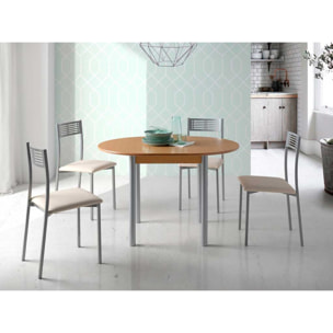 Mesa extensible circular