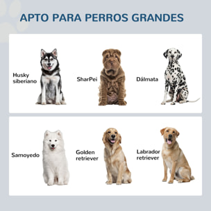 Comedero Elevado para Perros Grandes Cuencos para Perros con 2 Tazones 2000ml de Acero Inoxidable y Cajón Oculto Soporte de Madera para Mascotas 60x30x36 cm Blanco