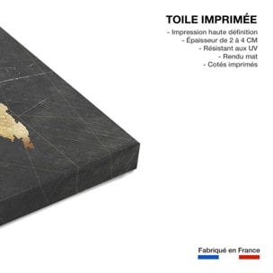 Tableau carte du monde dorée Toile imprimée