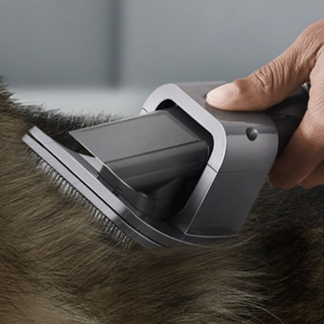 Dyson Accessori | Kit per la cura degli animali