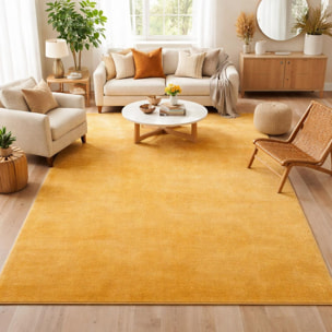 Tapis salon MITA, soft et soyeux, tapis uni à l'aspect Shaggy