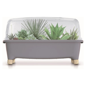 Huerto domestico/jardinera baja, con tapa de policarbonato para proteger tus plantas respana planter wood low set de plástico en color