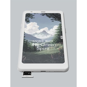 Liseuse eBook BOOX Palma 2 Pro blanc