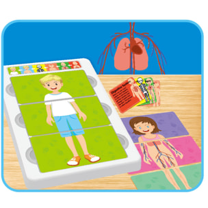 APRENDE EL CUERPO HUMANO