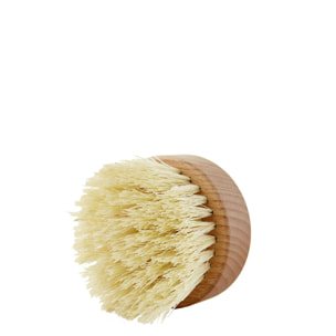 Exfolie & Tonifie - Brosse de Massage à Sec
