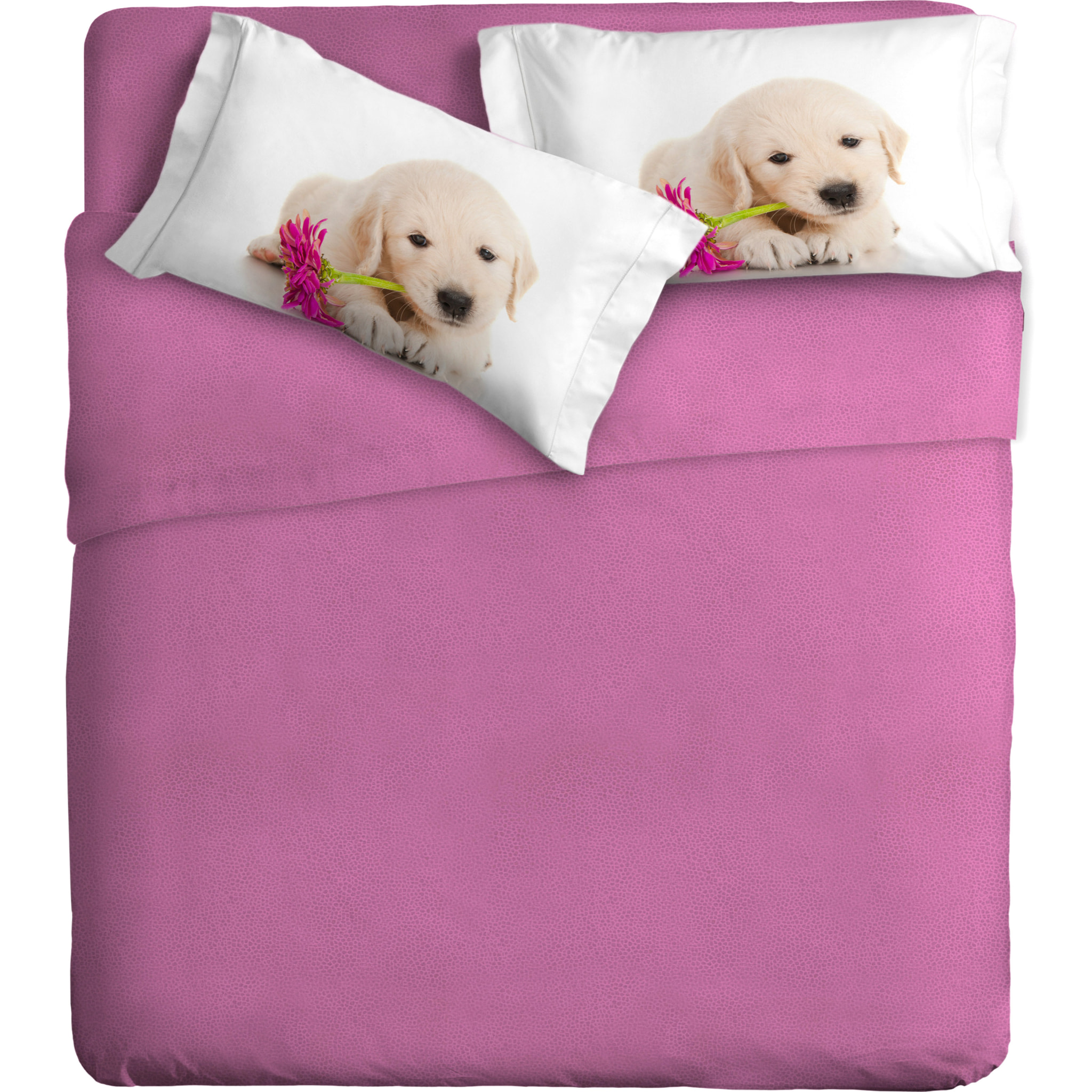 Completo letto 1 Piazza IPERSAN fotografico Fine-Art Funny Dogs