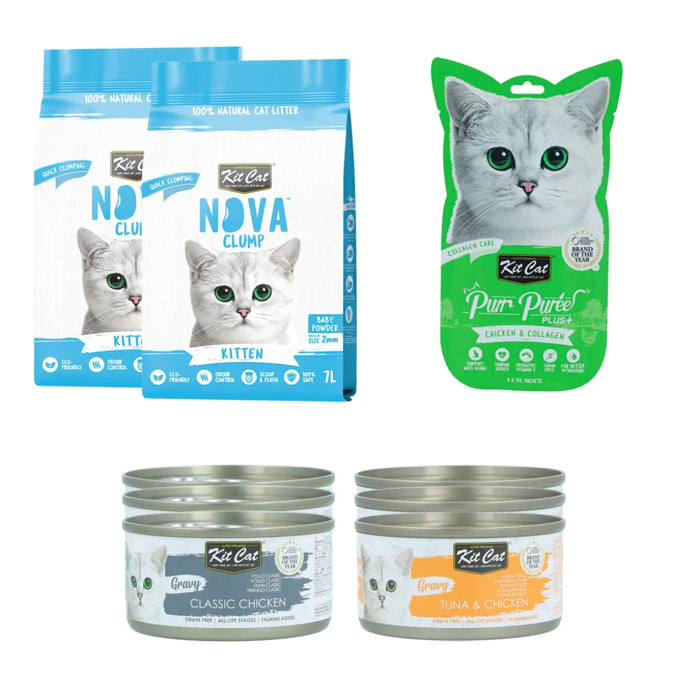 Pack Kit Cat Bienvenido Gatito