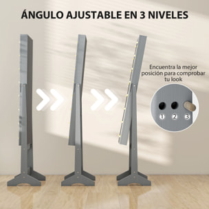 Espejo Joyero con Luces LED, Armario para Joyas, Armario Joyero de Pie con Espejo Entero, Ángulo Ajustable, con Estantes, Ranuras para Anillos, Gris