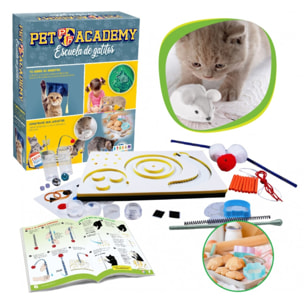 PET ACADEMY, ESCUELA DE GATITOS