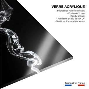 Tableau  white smoke medusa Tableau plexiglas