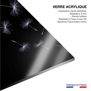 Tableau fleur pissenlit vole  Tableau plexiglas