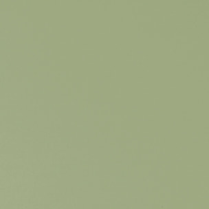 Abattant uni wood slim double avec descente assistée - Vert tilleul