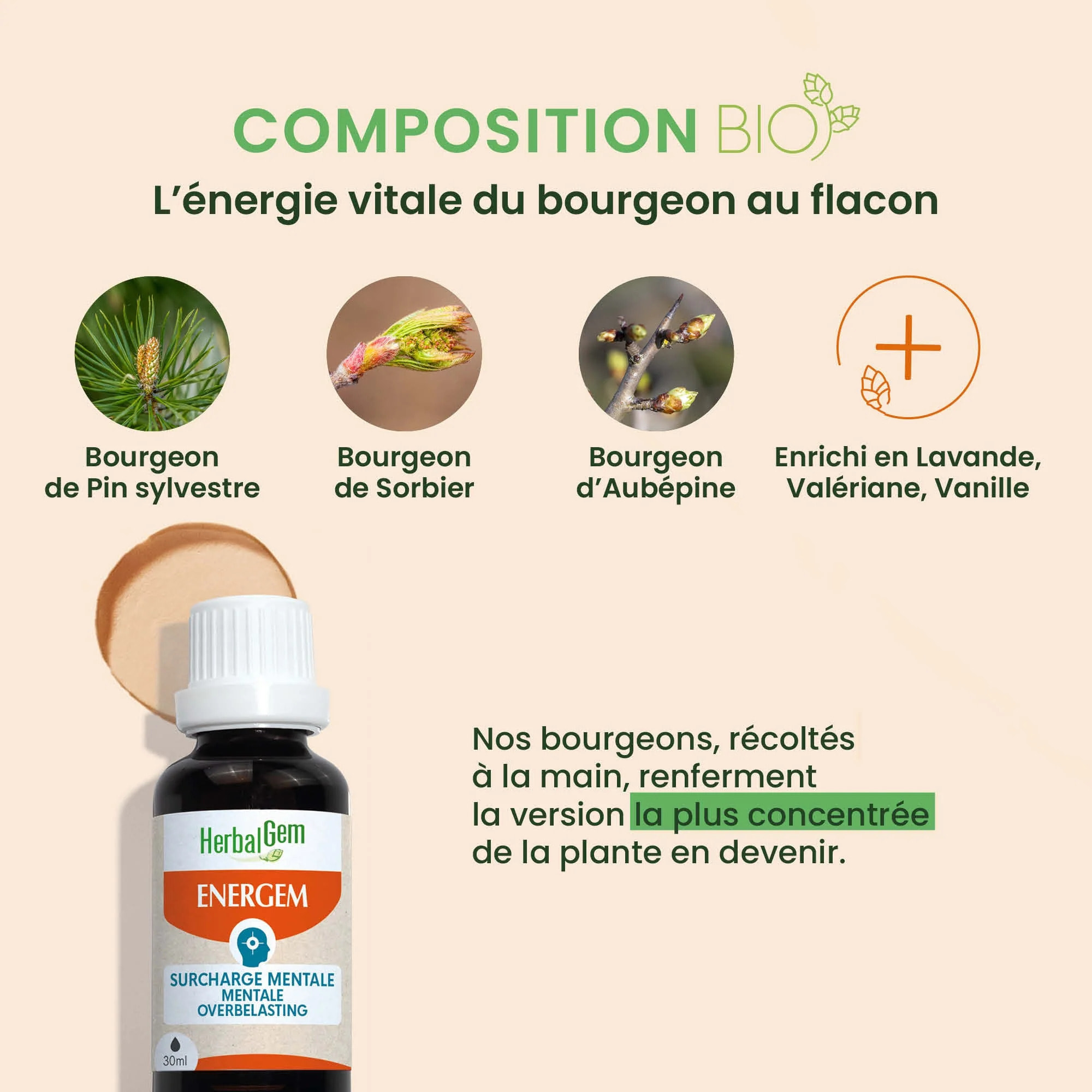 Herbalgem- EnerGem surcharge mentale - Bio - 30 ml