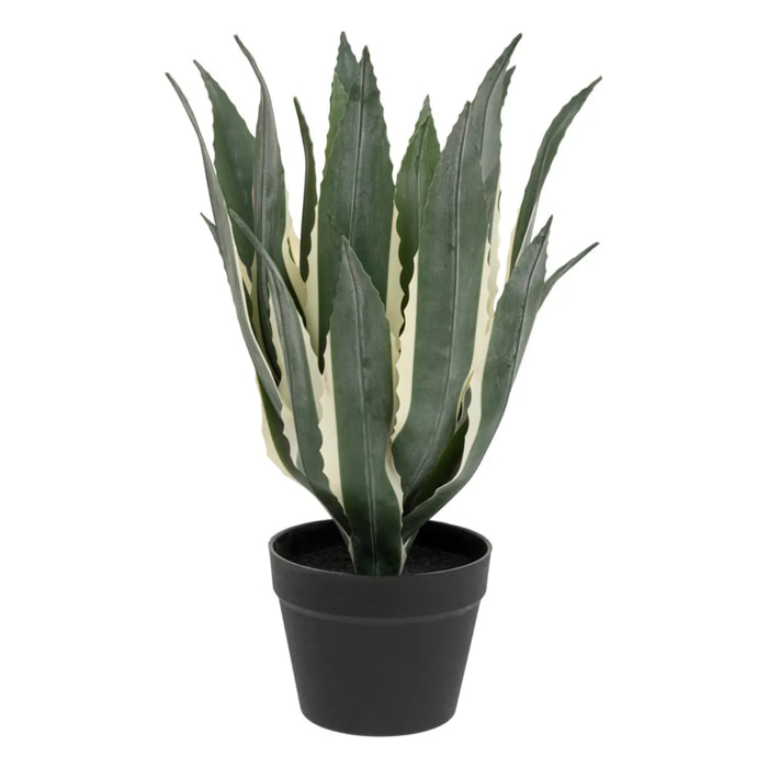 Agave artificielle H55cm vert