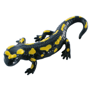 Ragni e Rettili/Salamandra