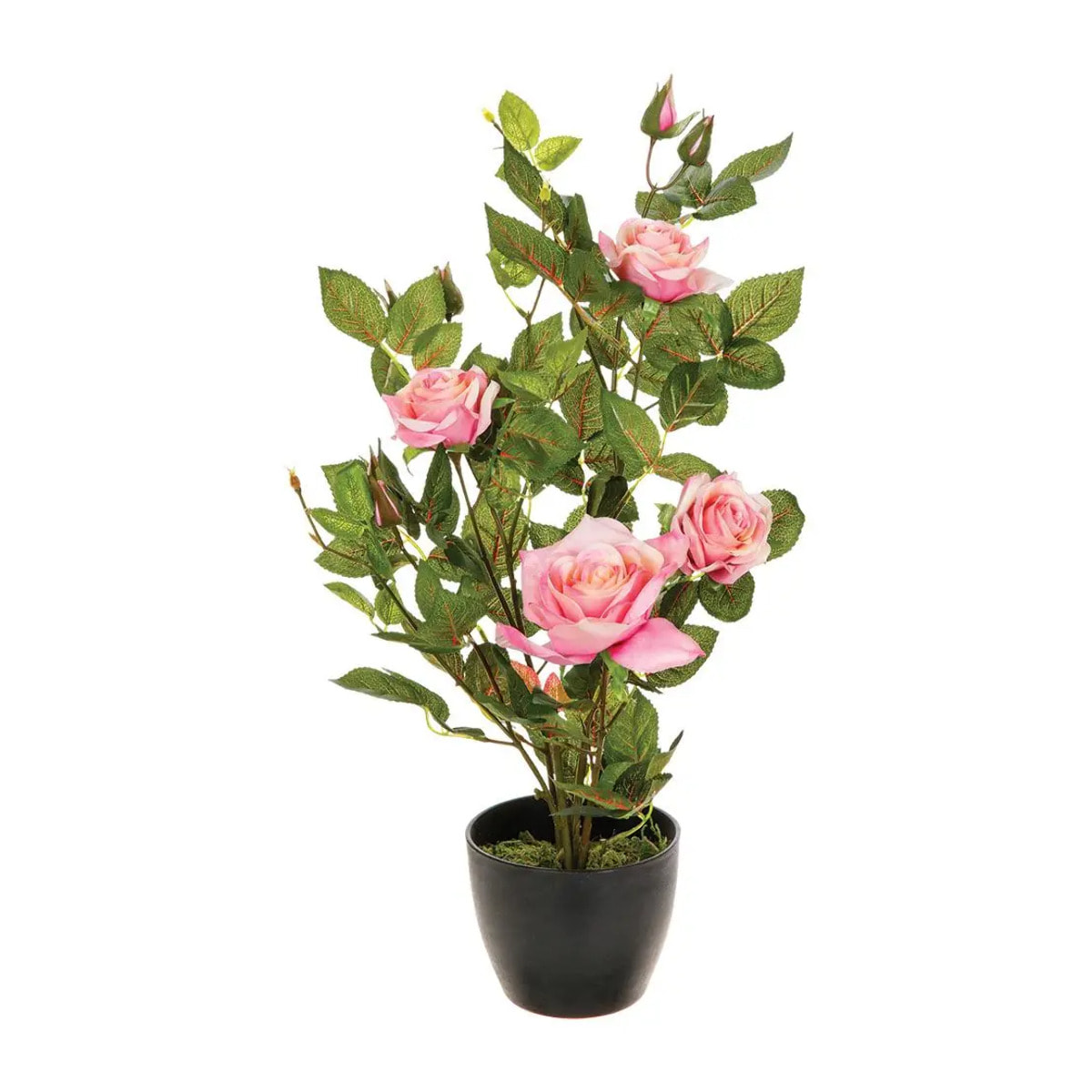 Rosier artificiel pot ciment H50cm