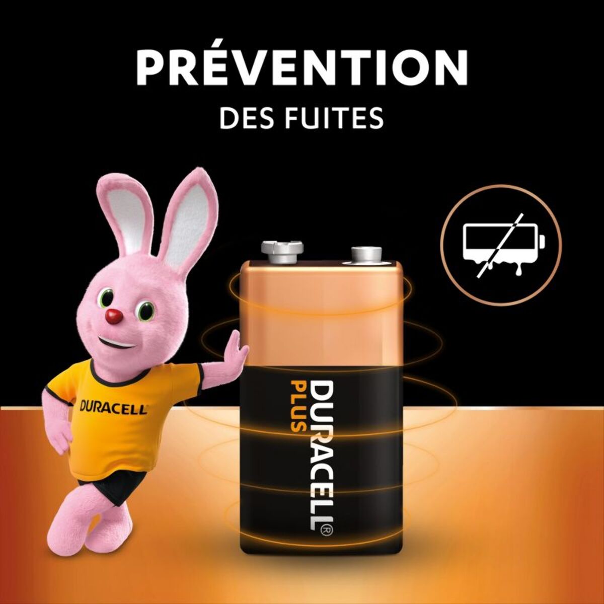 Pile DURACELL 9V PLUS x1