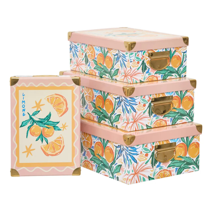 Lot de 4 boîtes de rangement BOX'