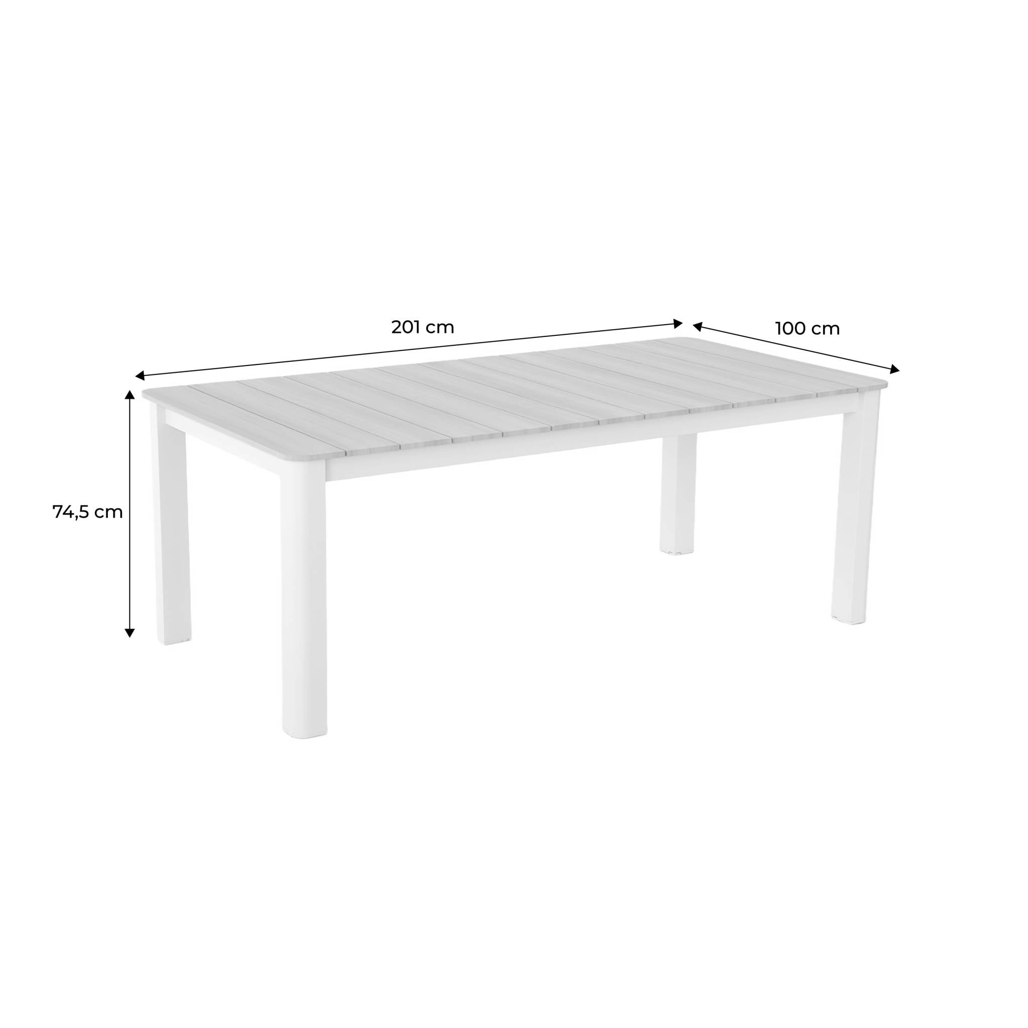 Table de jardin aluminium 8 places EDERA
