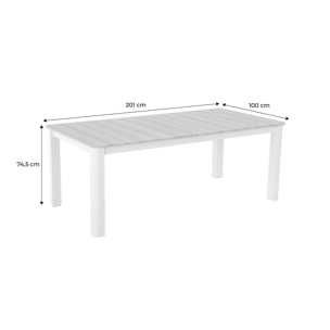 Table de jardin aluminium 8 places EDERA