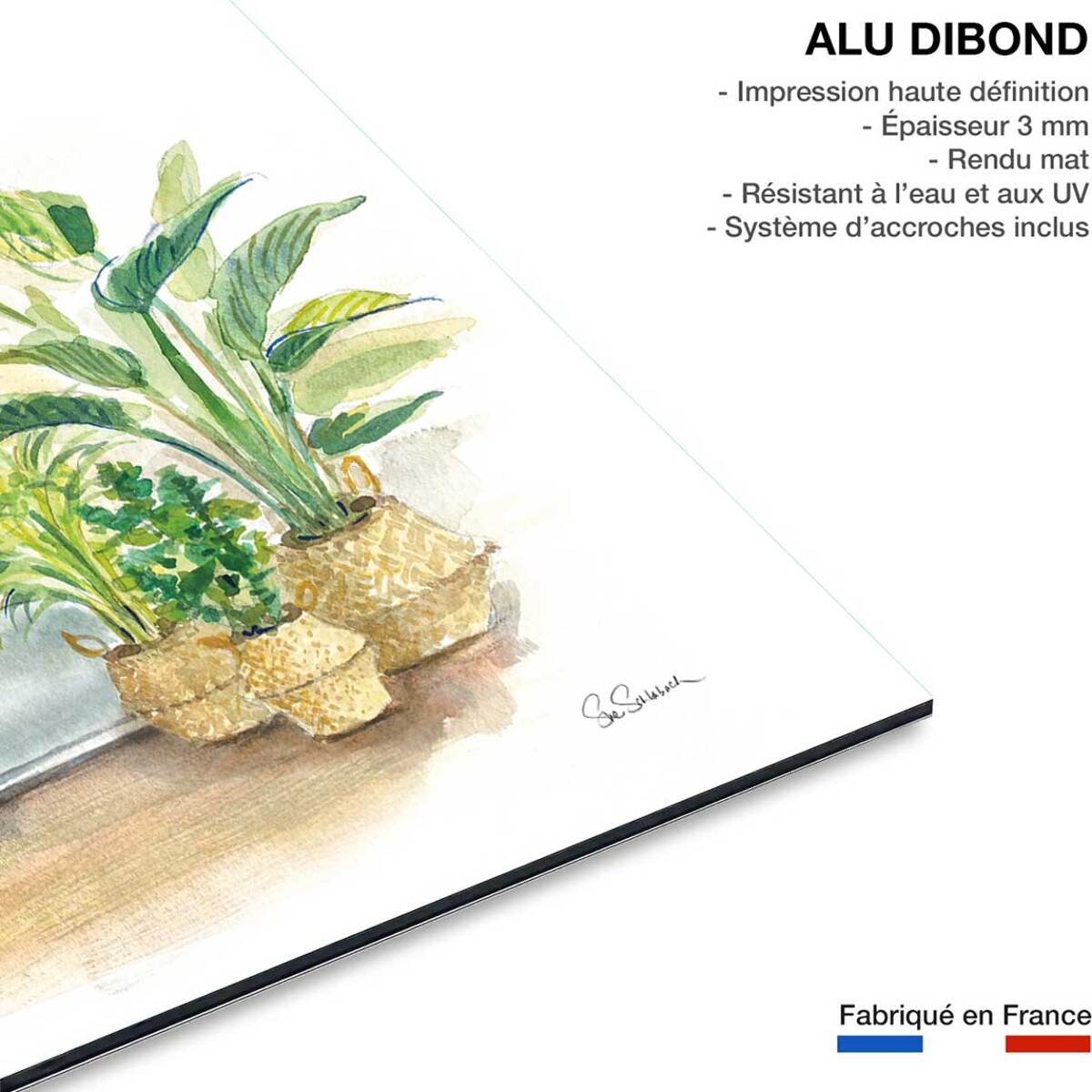 Tableau deco Baignoire tropicale Tableau alu Dibond