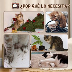 Rascador de Cartón para Gatos Tablero para Rascar en Forma de Televisor con Ratón de Juguete Centro de Actividades para Mascotas 43x23x23,5 cm Arena